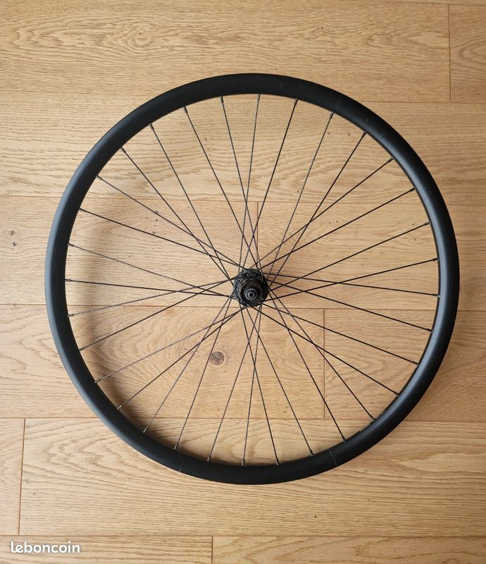 Roue Arrière Vélo 700C Ancienne - Cache-pignon Alu - Collection Eroica