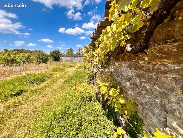 Terrain 1 001 m² Saint Mard