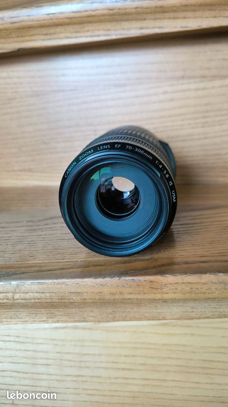 Canon EF 70-300mm f/4-5.6 (image 3)