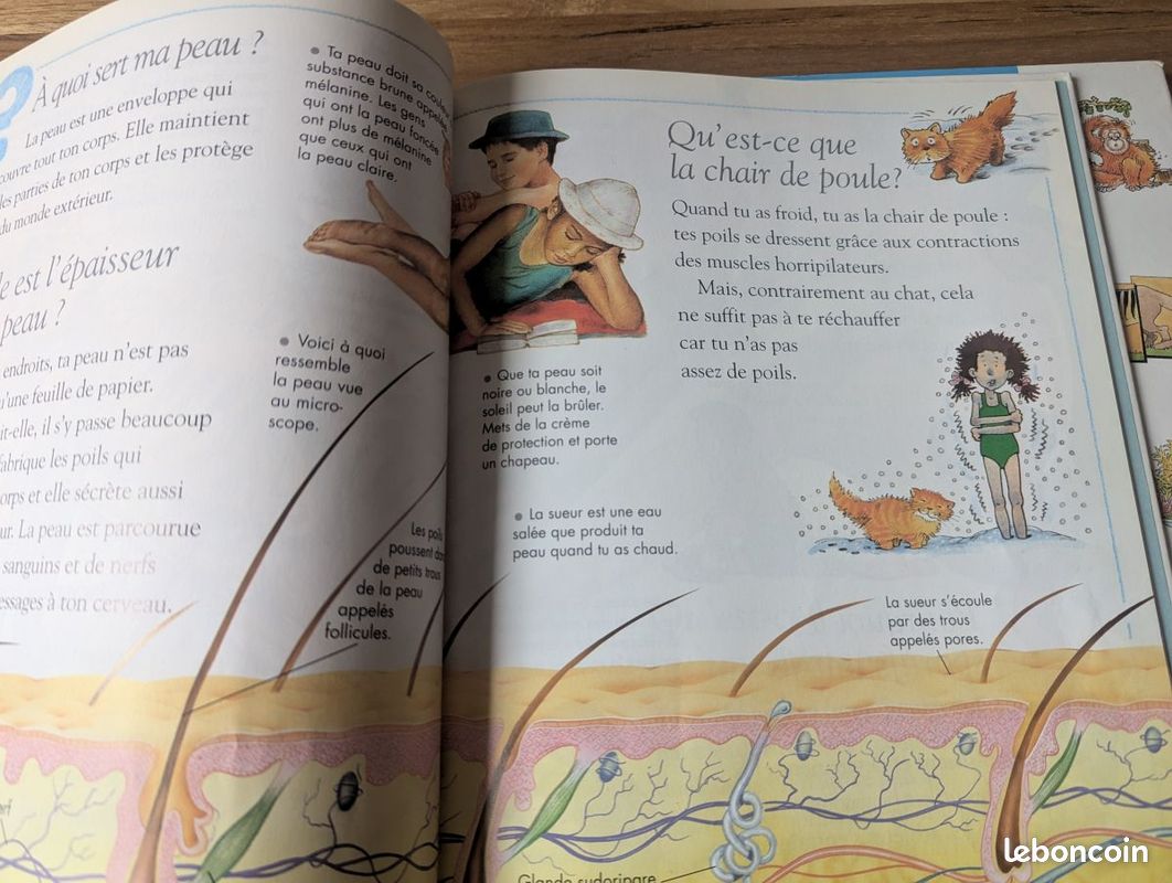 Questions/réponses - 6/9 ans - Le corps humain - Les animaux menacés (image 3)