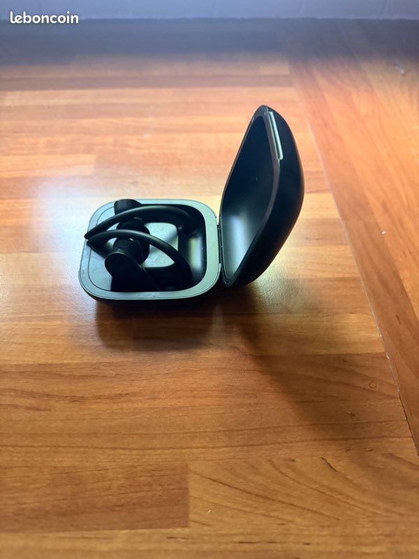 Écouteurs Powerbeats Pro (image 2)