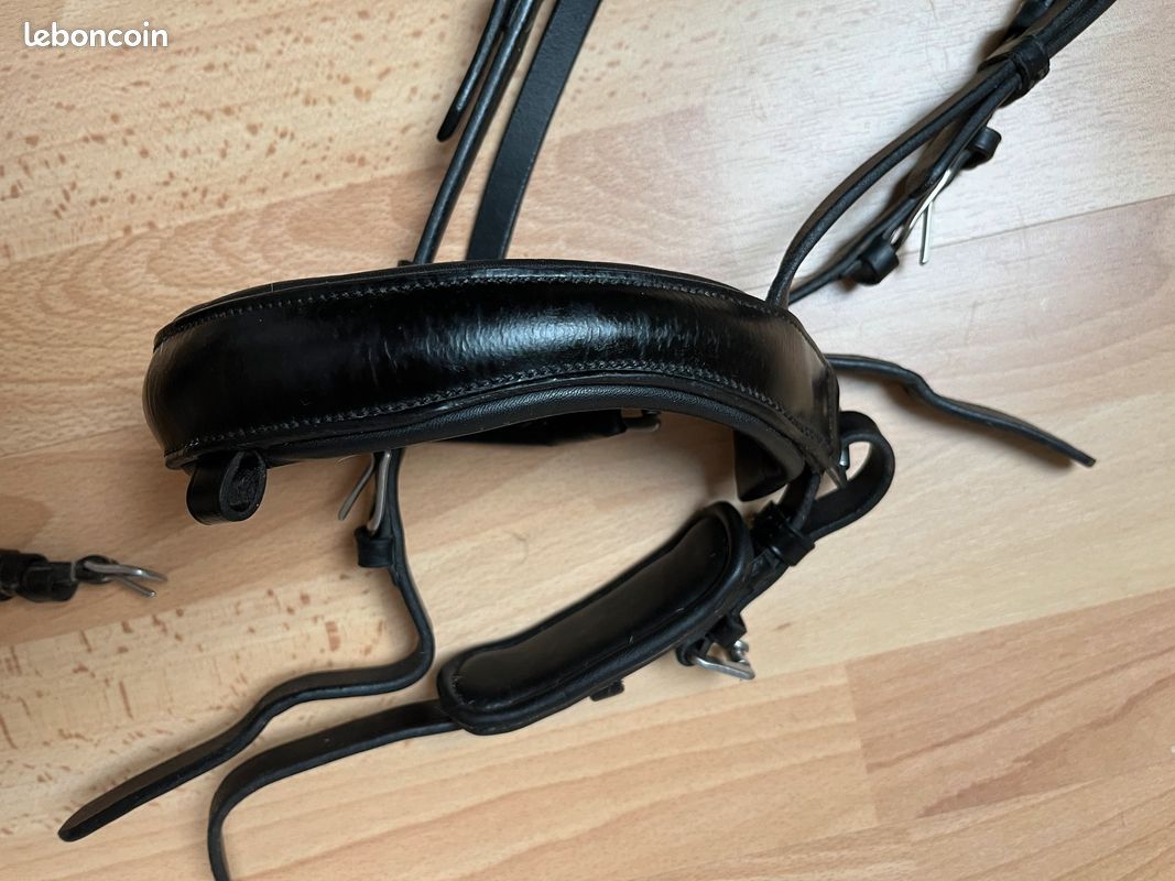Bridon noir COB (image 3)
