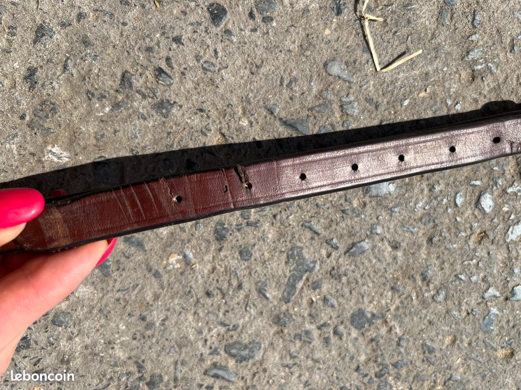Martingale taille cheval (image 3)