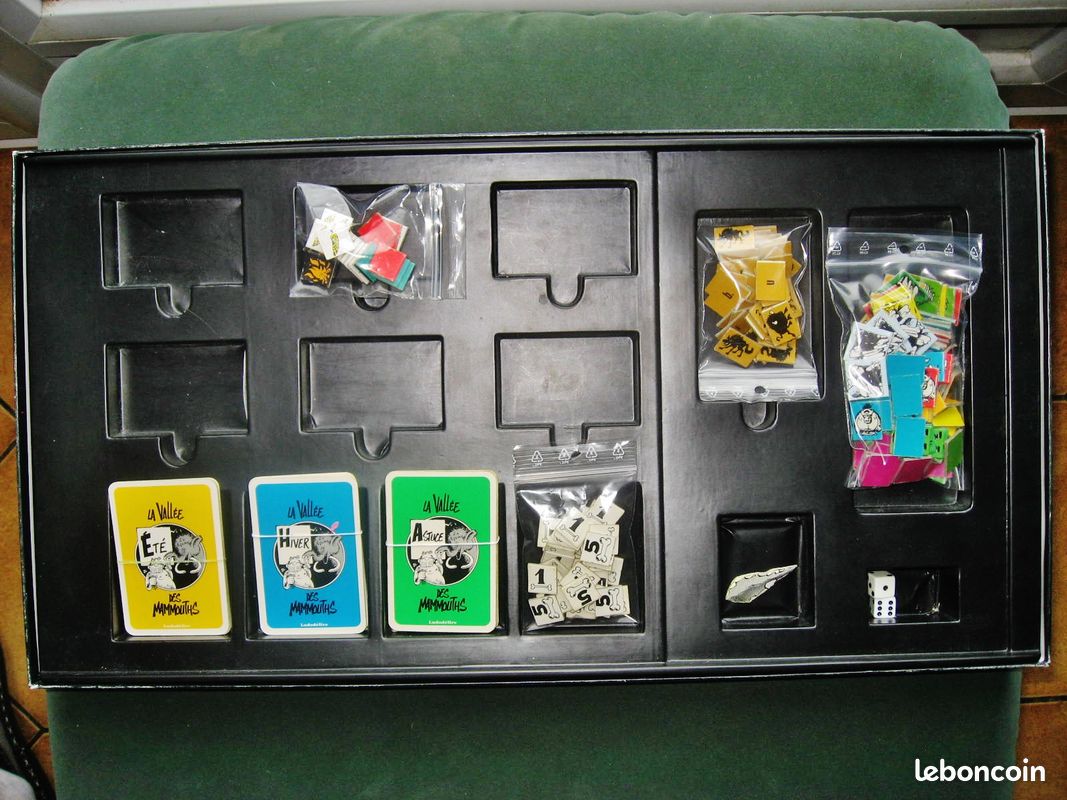 JEU DE SOCIETE LA VALLéE DES MAMMOUTHS / LUDODELIRE 1991 (image 2)