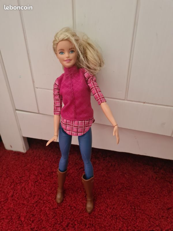 Poupée Barbie et Son Cheval de Rêve (image 3)
