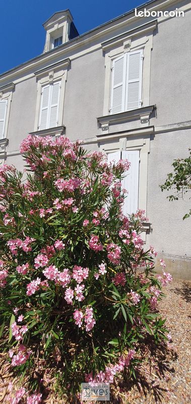 Maison 7 pièces 89 m² · à Sainte-Gemmes-sur-Loire · 89 m² · 313 000 €