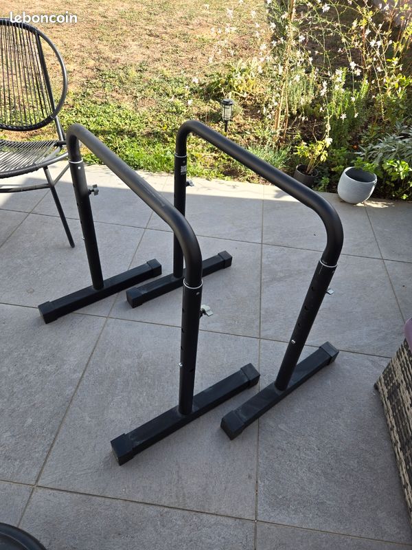 Barre dips (image 1)