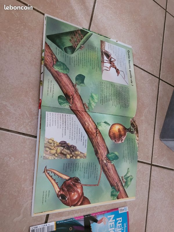 Livre pour enfant (image 2)