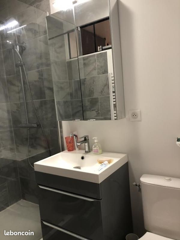 Appartement 2 pièces 32 m² - Limoges 87000 (image principale 3)