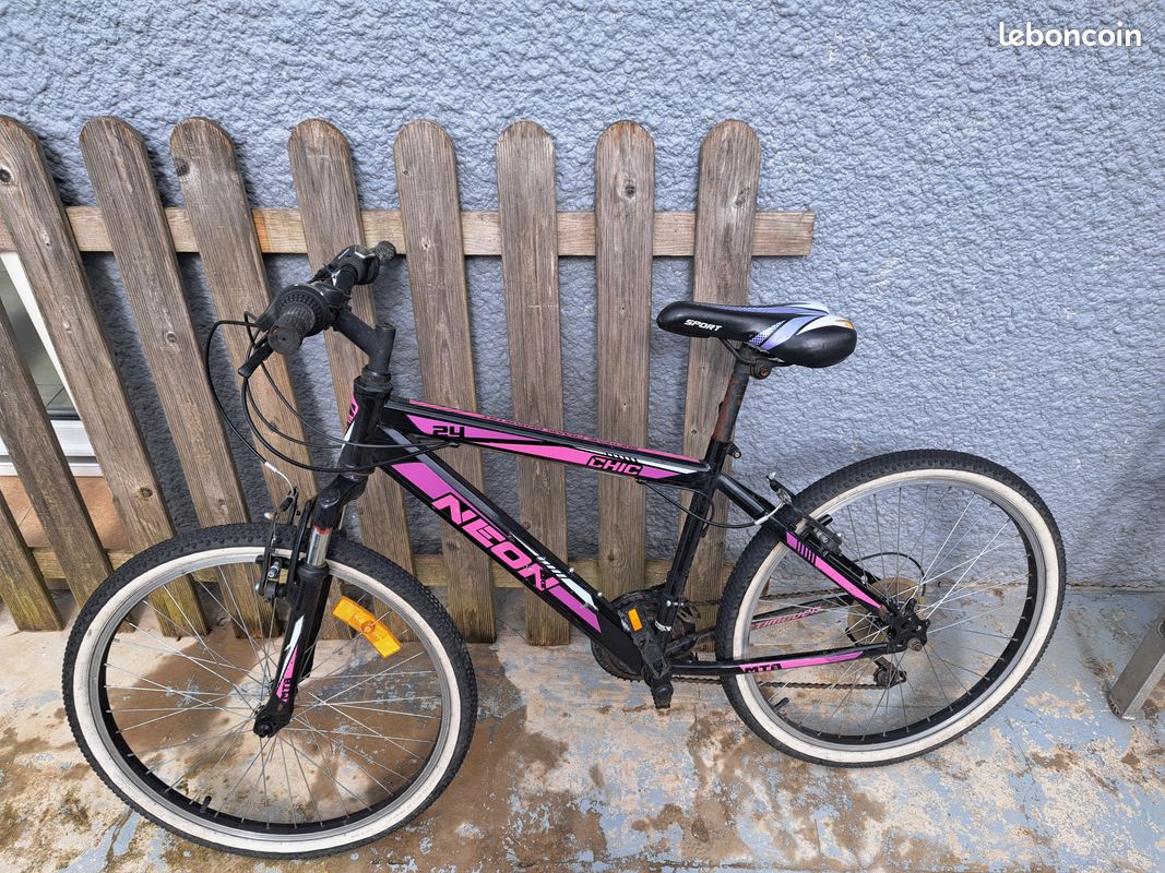 Vtt 24 pouces (image 1)