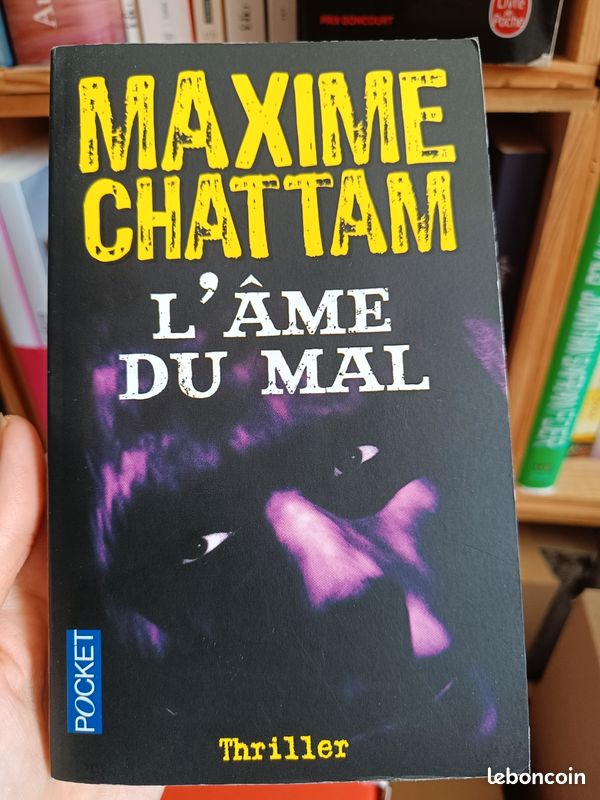 Maxime Chattam (image 2)