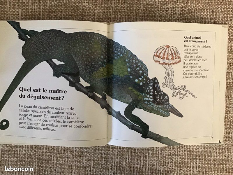 Des livres pour apprendre le monde des dinosaures ou les animaux qui se camouflent (image 5)