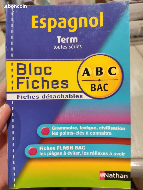 Fiche bac espagnol (image 1)