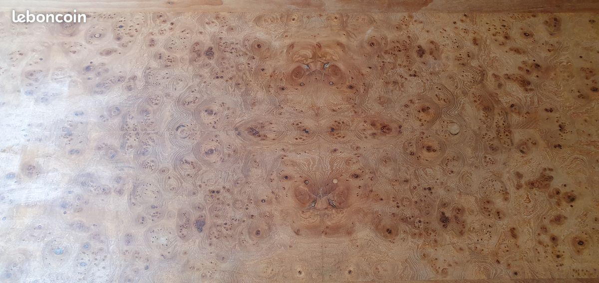Table basse loupe d'orme (image 3)