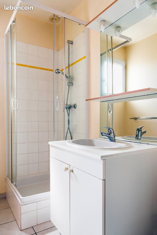 Studio 21 m2 proche Université et CHU - Poitiers 86000 (image principale 2)