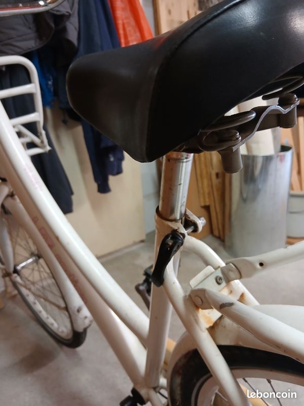Vélo hollandais (image 11)