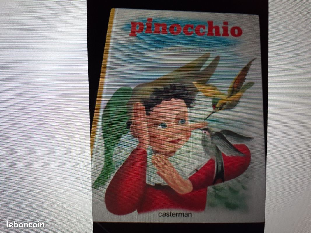 Livre Pinocchio (image 1)