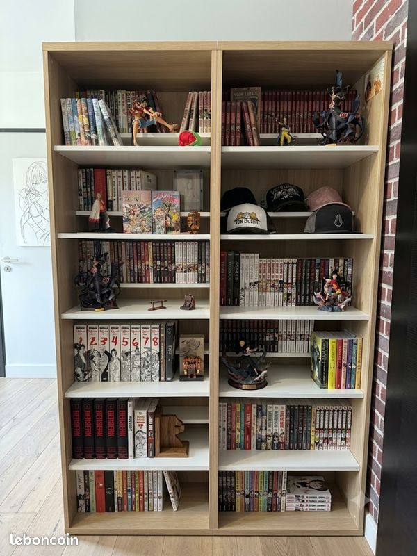 Bibliothèque/mangathèque Complète - IKEA Besta chêne blanchi - Parfait état (image 1)