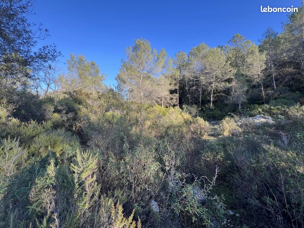 Terrain 1000 m² · à Roquefort-les-Pins · 1 000 m² · 22 000 €