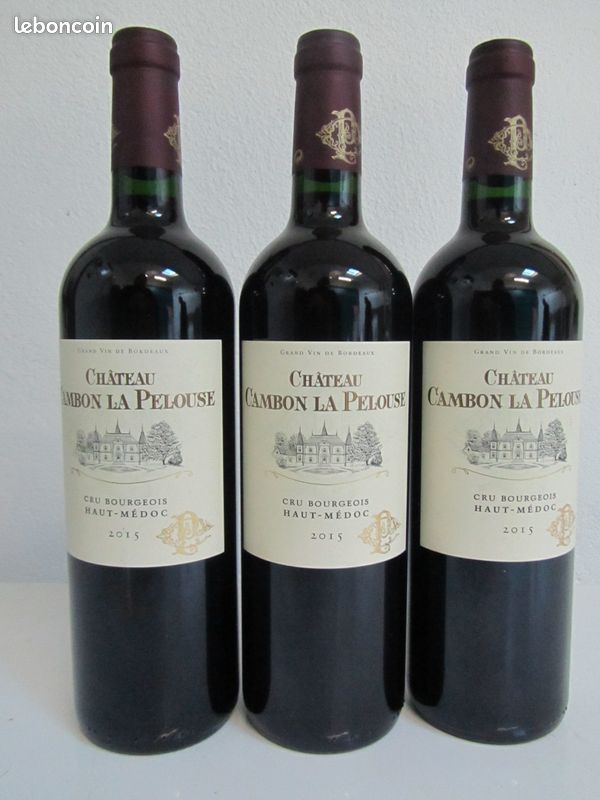 Lot De 3 Bouteilles Château Guillemet 2007 – Bordeaux Rouge, Millésime Certifié HVE3
