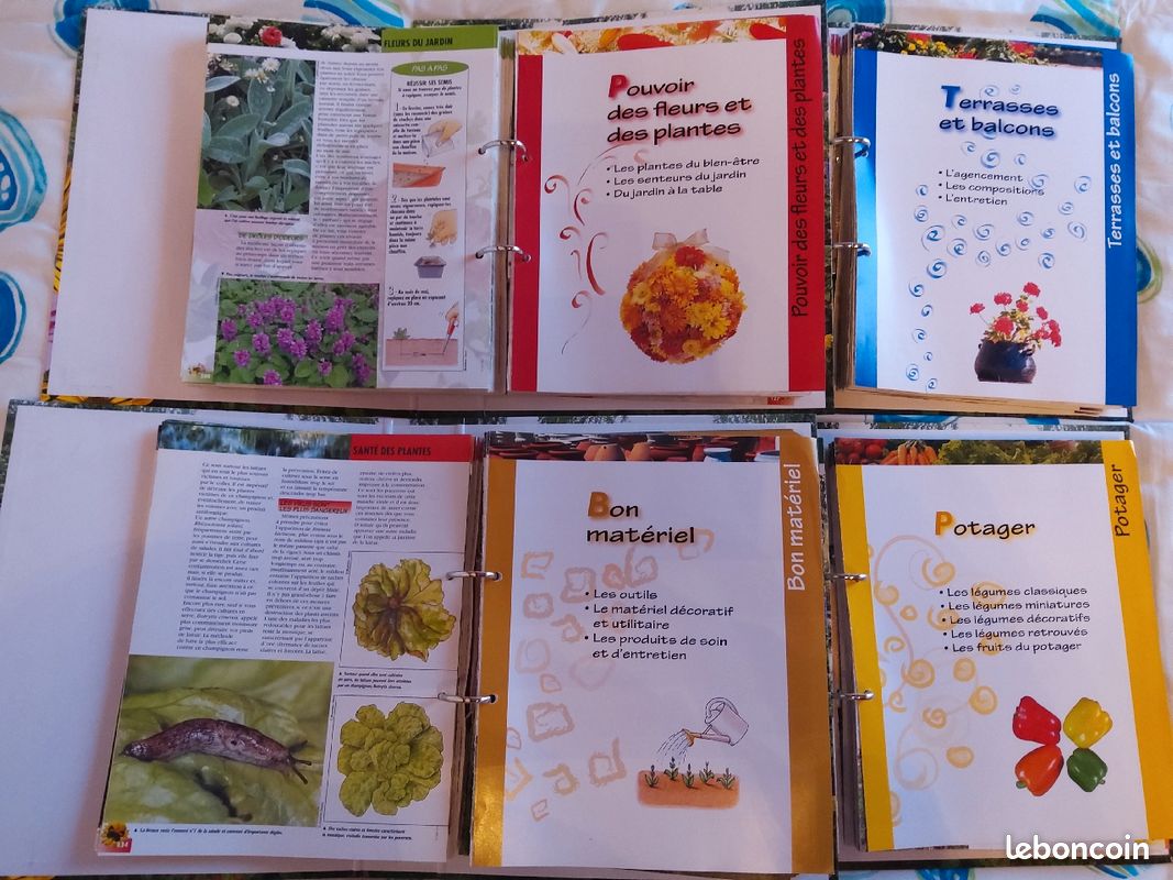 Collection REUSSIR SON JARDIN (cinepat42) (image 2)