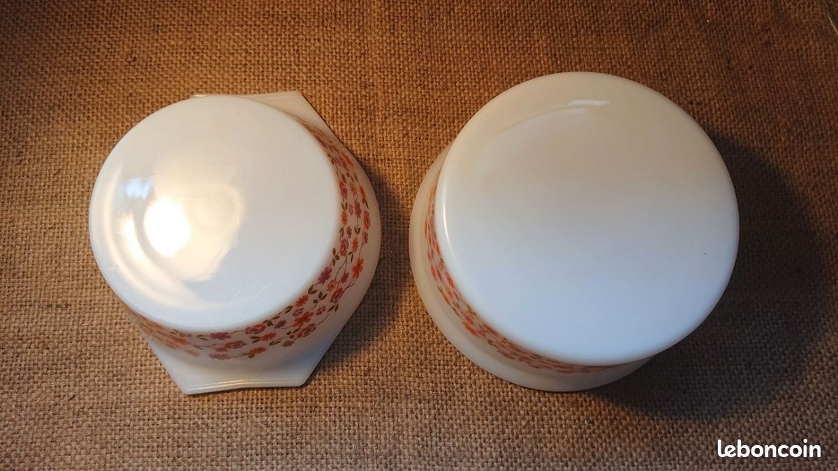 Arcolpal modèle Scania Lot de 2 plats ovales vintage des