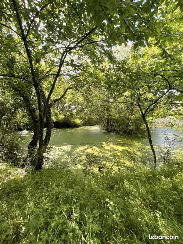 Terrain 2 pièces 8029 m² · à Val-d'Étangson · 8 029 m² · 45 600 €