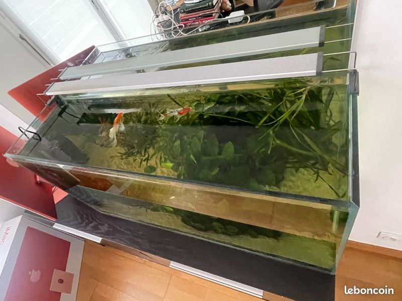 Aquarium+filtre+rampe LED (image 2)