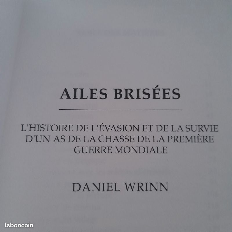 Ailes brisées Daniel Wrinn (image 2)