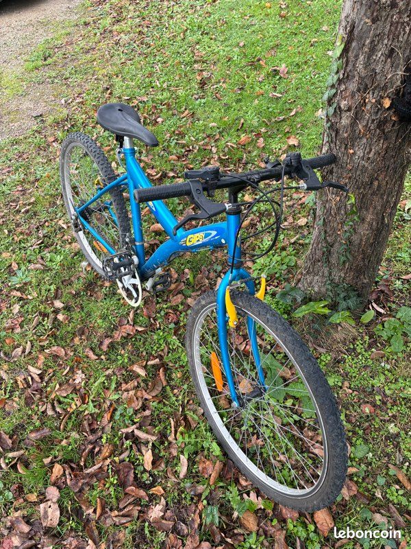 Vente VTT gipsy (image 2)