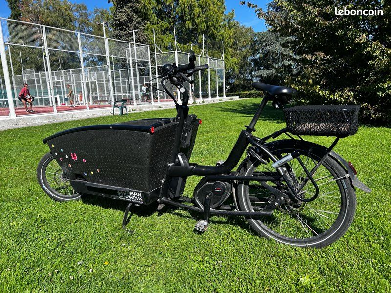 Vélo cargo Urban Arrow Family (image 2)