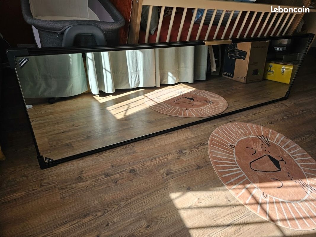 Porte de placard miroir neuve 67 x 236 xm (image 1)