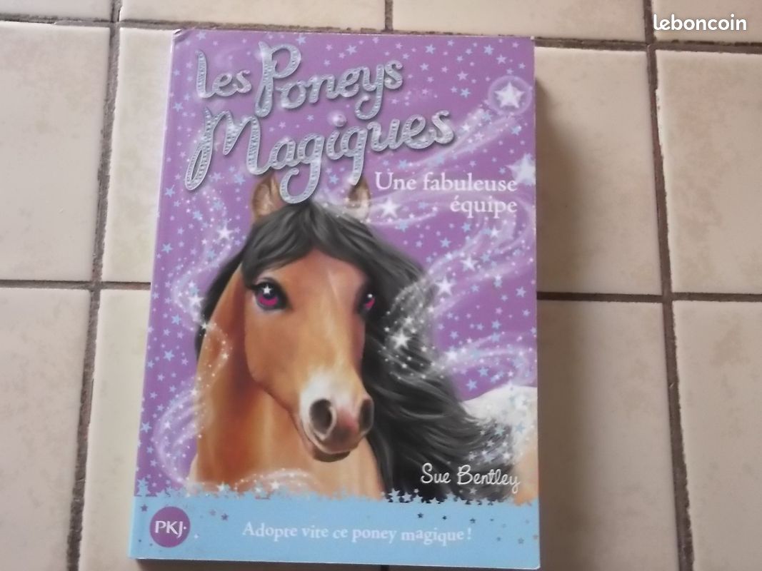 Les poneys magiques une fabuleuse équipe tome 13 (image 1)