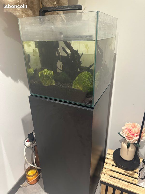 Aquarium et meuble (image 2)