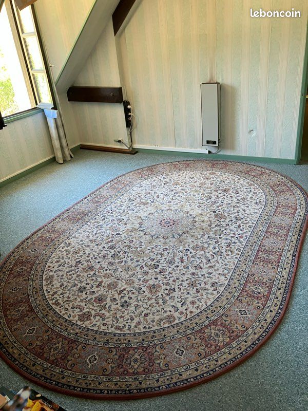 Tapis de salon (image 1)