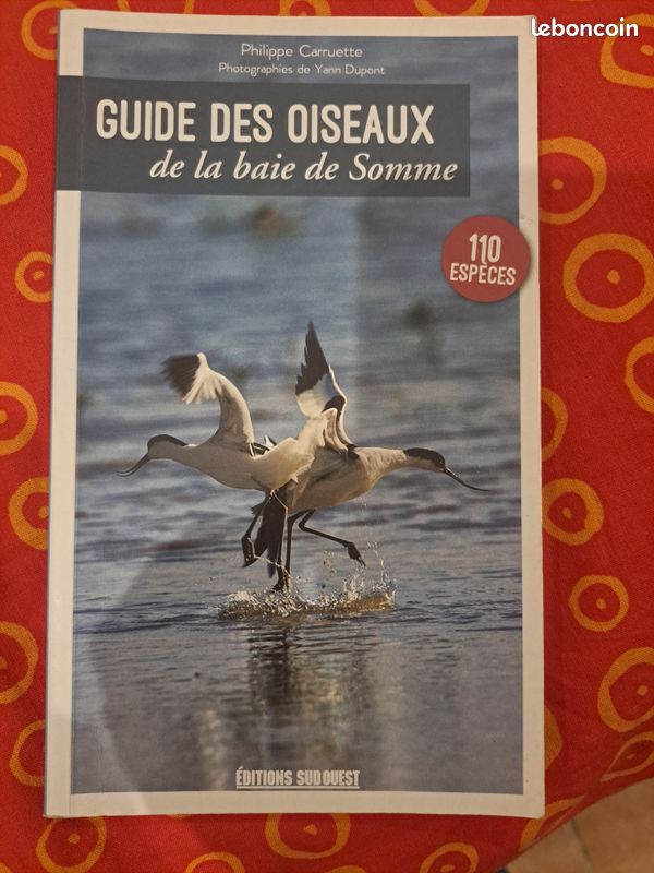 Guide oiseaux baie de somme (image 2)