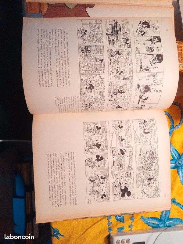 Livre Mickey (image 5)