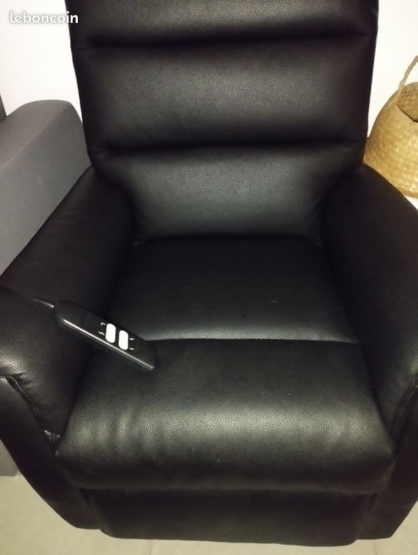 Fauteuil de salon électrique (image 1)