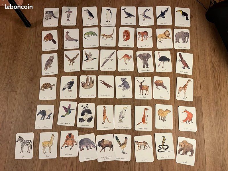 Montessori des animaux cartes Nathan (image 4)