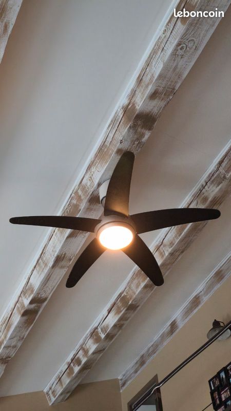 Ventilateur de plafond de 50 cm avec lampe et télécommande, ventilateur