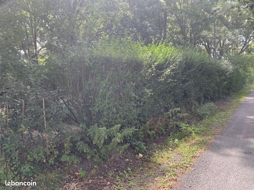 Terrain 1 000 m² Chermignac · 65 500 €