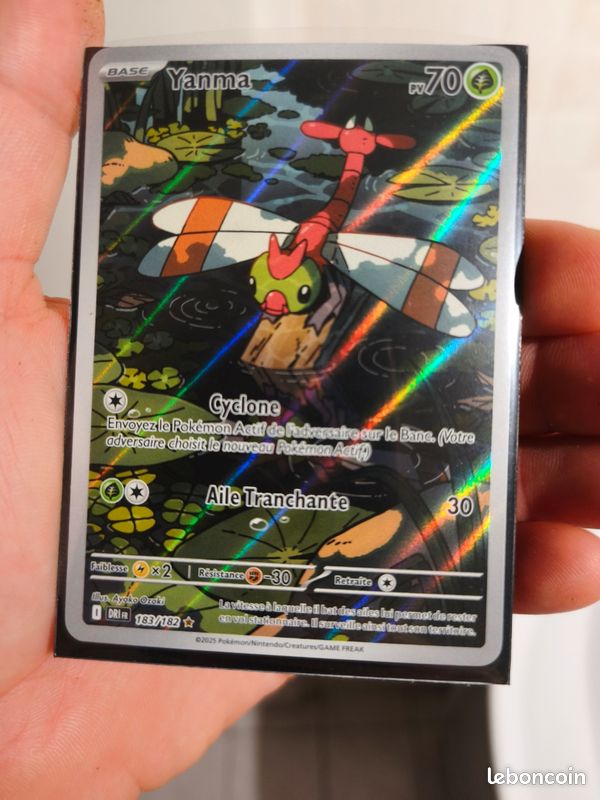 Yanma DRI 183 rivalités destinées pokémon (image 1)