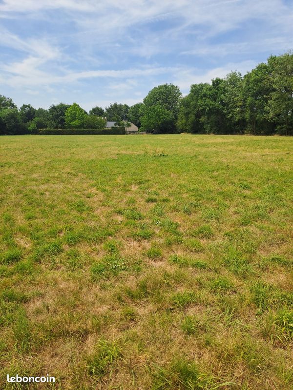 Terrain saint jean pierre fixte · à Saint-Jean-Pierre-Fixte · 28 000 €
