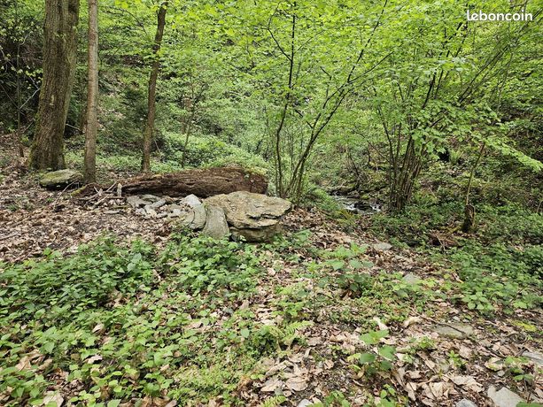 Terrain 7430 m² SAINT PAUL SUR ISERE
