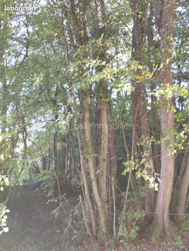 Terrain 3 614 m² Bailleul · 5 000 €