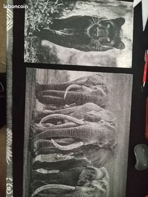Puzzle tryptique (image 2)