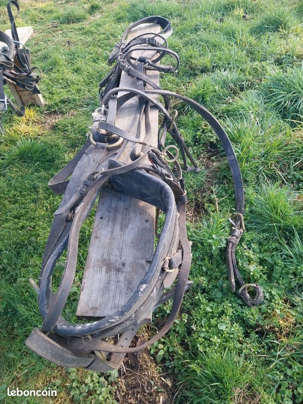 Éperons Western, éperons de Cheval Vintage Antirouille