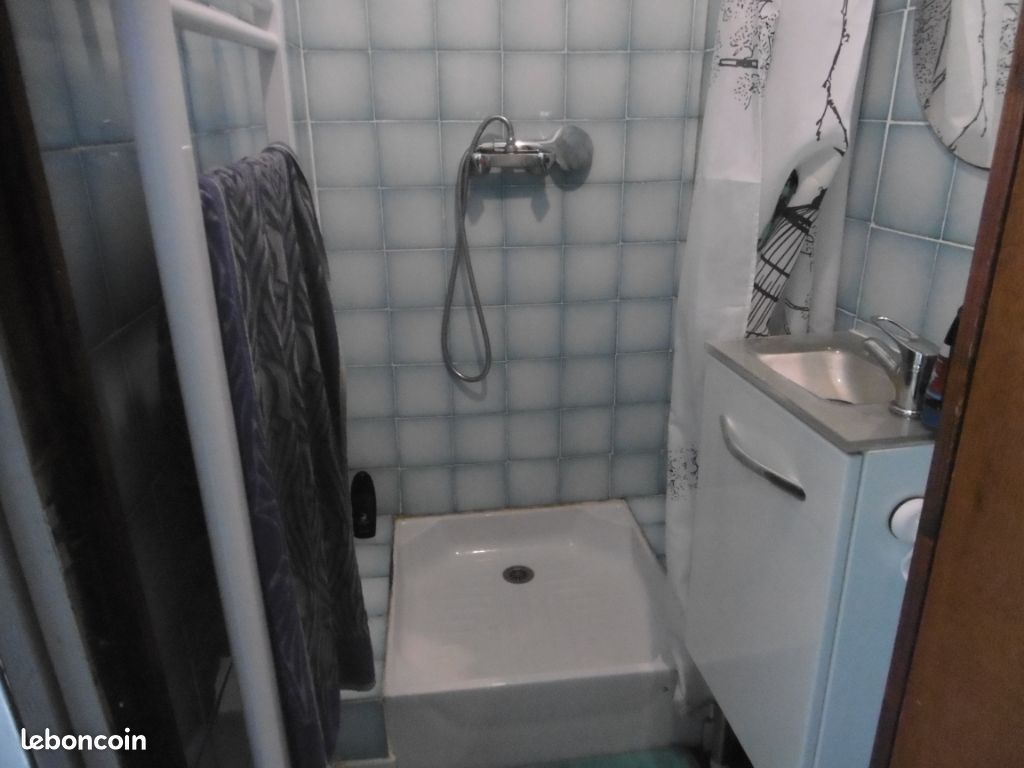 Appartement 1 pièce 29 m² - Limoges 87100 (image 3)