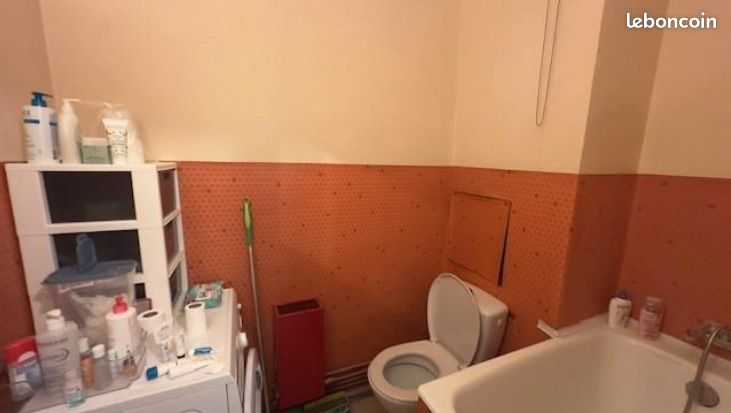 Studio 20,7 m² Lyon 3ème - Grange Blanche – Gardien - Parking privé sécurisé + Grande cave - À rafraîchir — 3