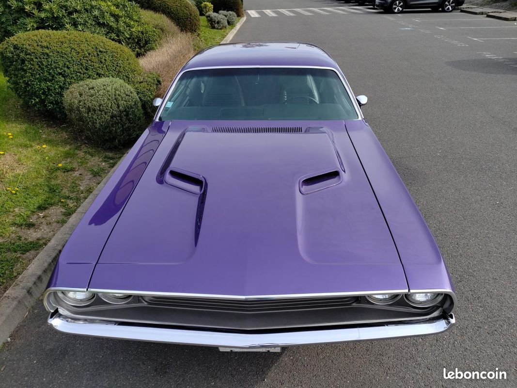 Dodge challenger big block 383, origine france (image 9)